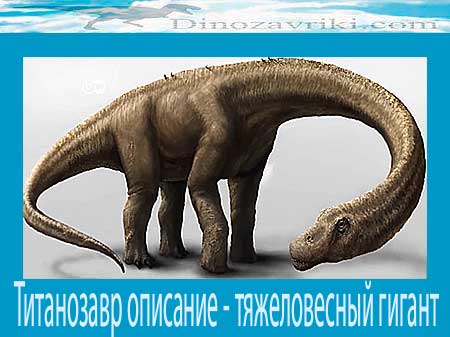 Открытки